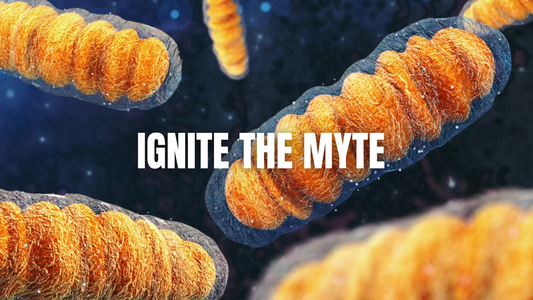 Best Supplements for All Athletes: It Starts in the Cell